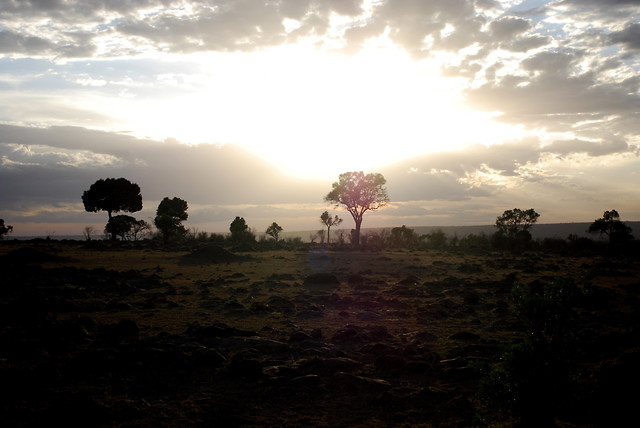 Wpis karibukenya
