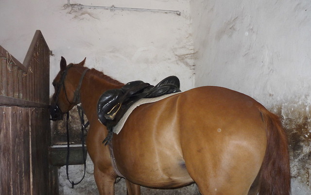Primaaa ! ; **