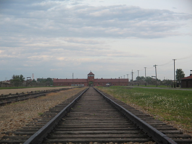 36