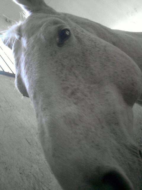 CzamuS ... ;)