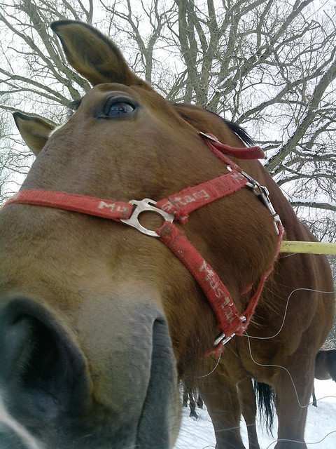 Hugonek .. ;)