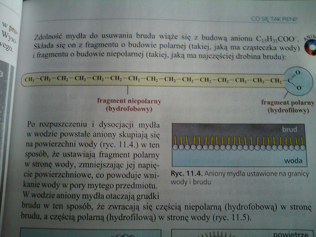 Wpis glupiachemia