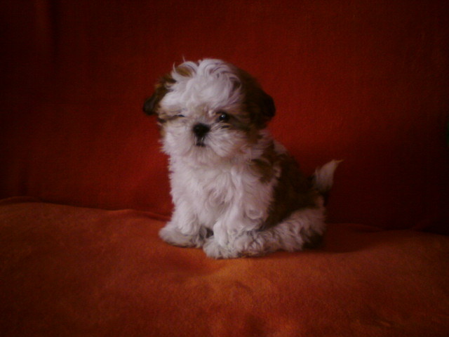 Muki;D