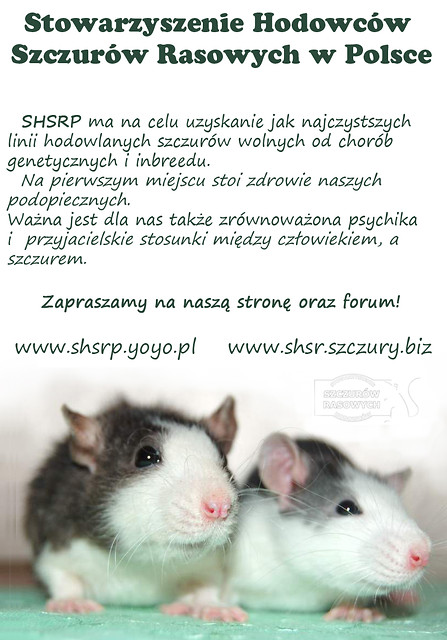 Wpis shsrp