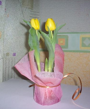 A za oknem wci szaro...