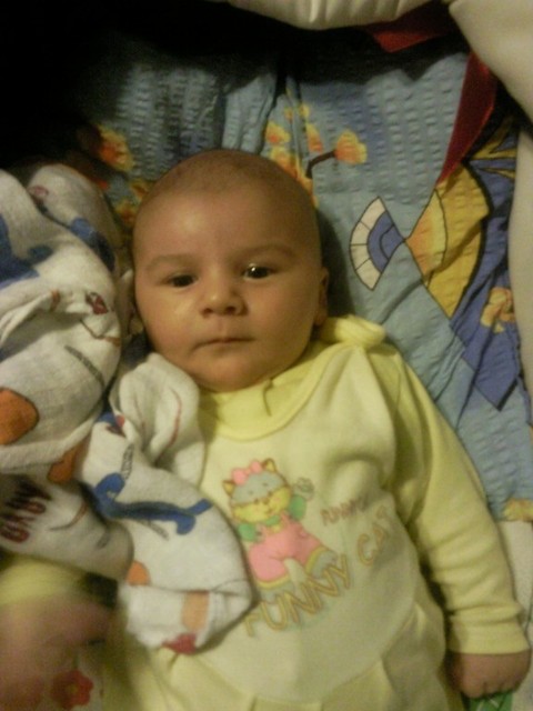 Fifi