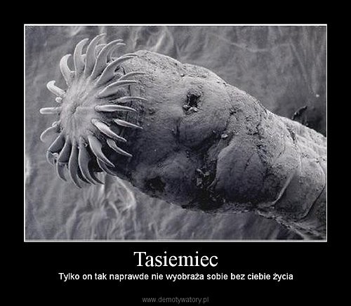 Takie Bywa ycie !