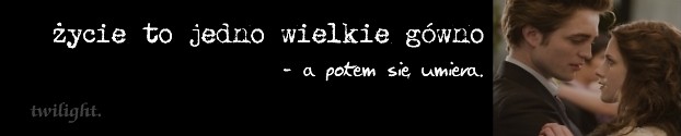 Wpis boomxd