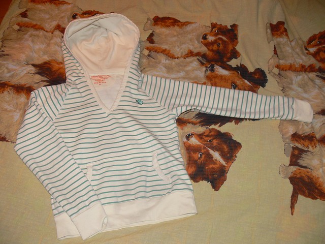 bluza.
