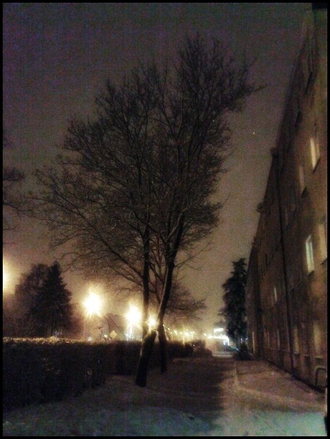 012. poegnanie z zim.