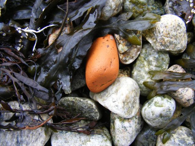 21.03.2010 DIRDAL