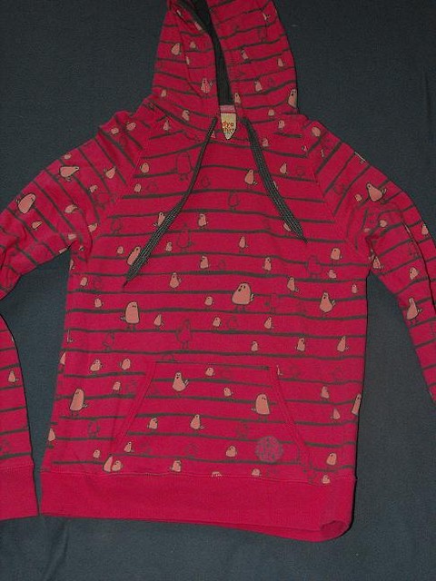 Bluza