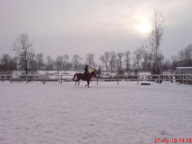 Galop na Leili