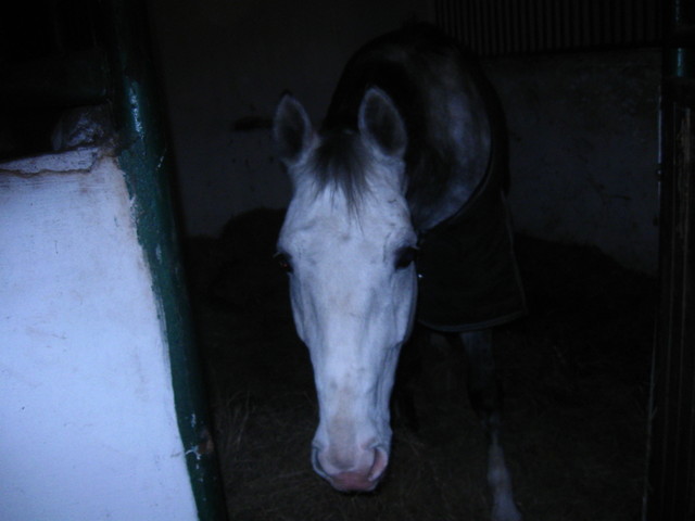 Mj sodziak :***************