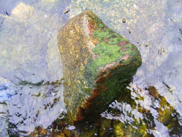 21.03.2010 DIRDAL