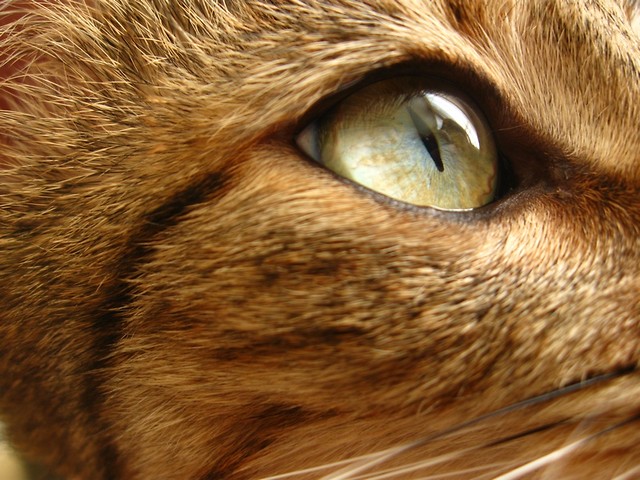 Oczy Odbiciem...