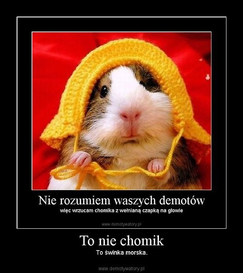 Wpis demoty