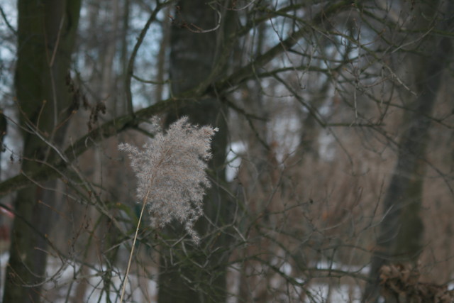Fot. By Olo. 