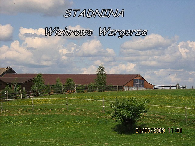 Wpis stadninawichrowewzgorze