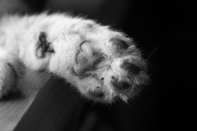 Wpis upsidedownnn