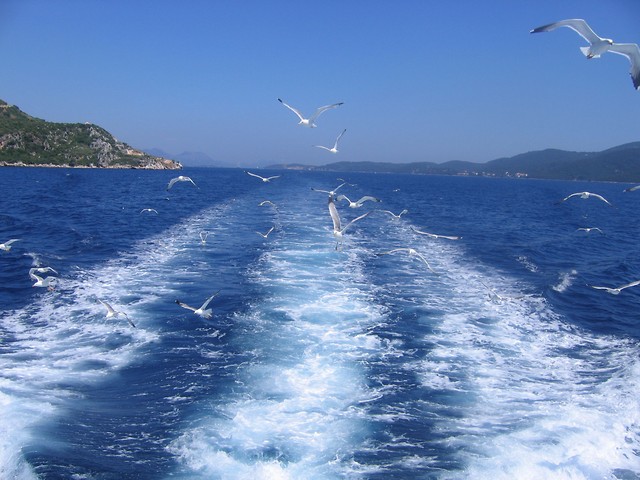 Wpis alazala11