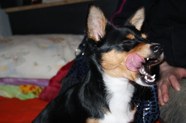 ;D