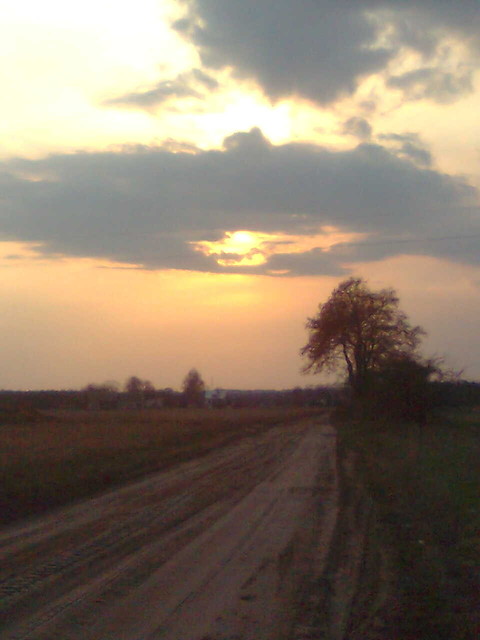 Wpis cichy9317