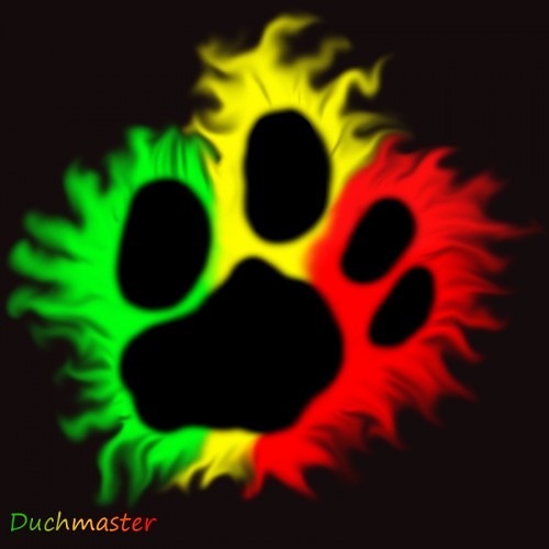 apa  reggae : >