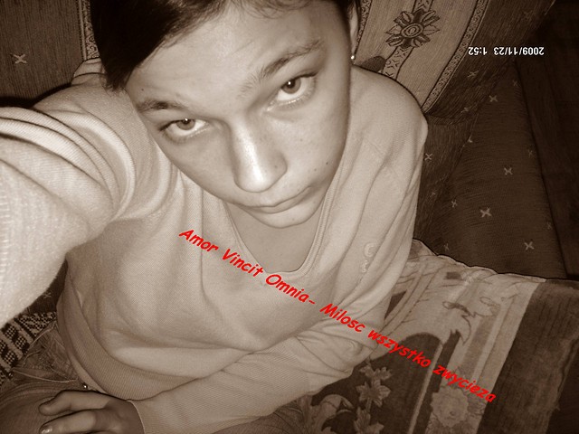 Amor Vinicit Omnia