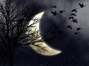 moon..