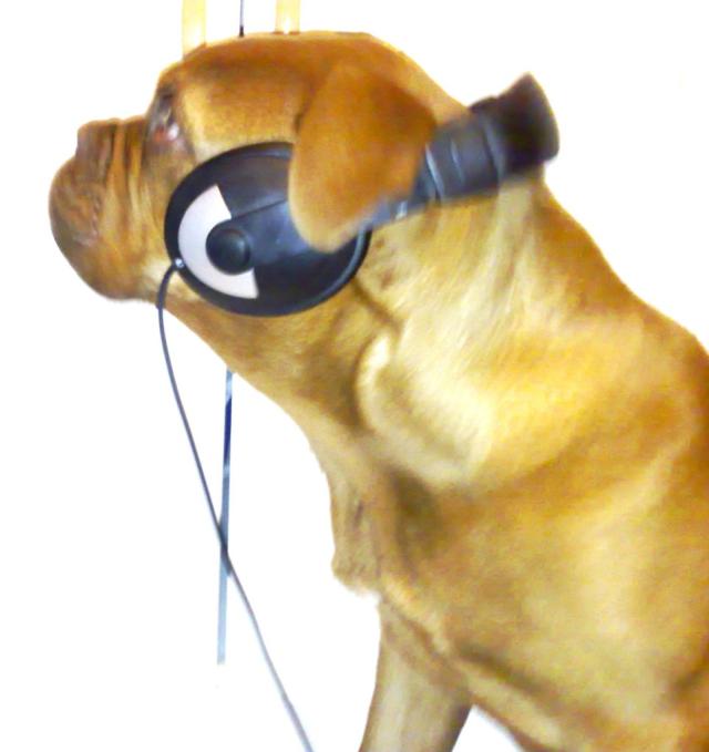 Fajny ten Beethoven :)