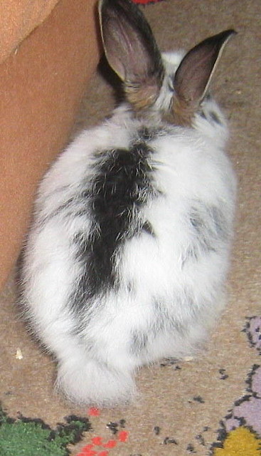 moja niunia  