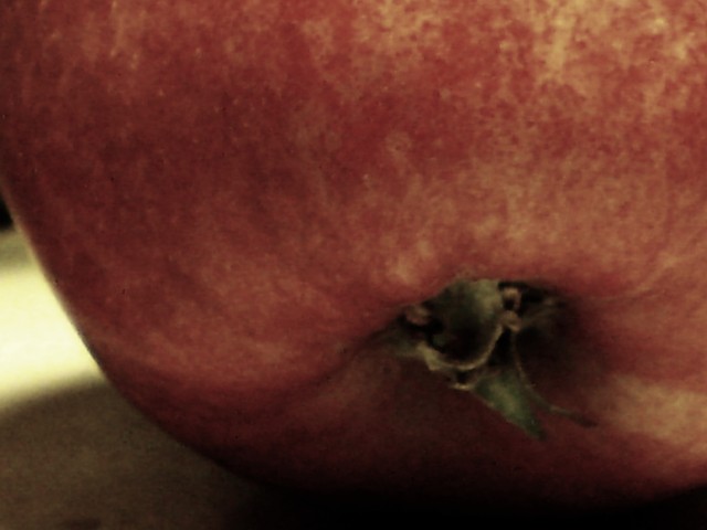bussy