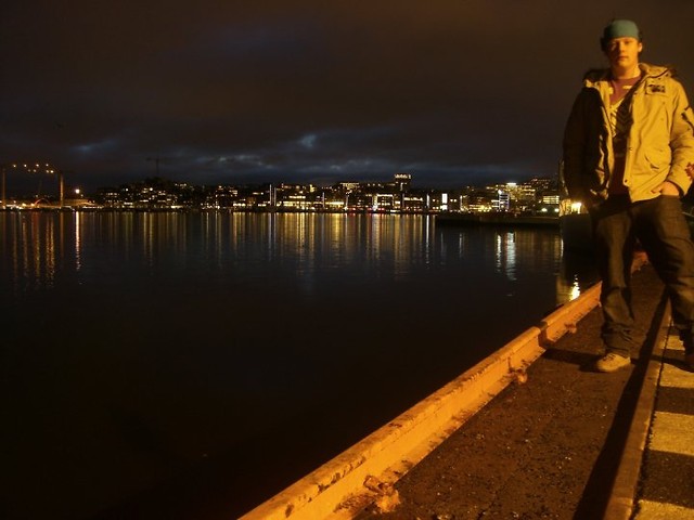 fjord i w oddali centrum Oslo .