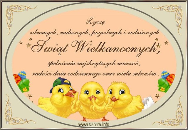 Wpis totylkoraport
