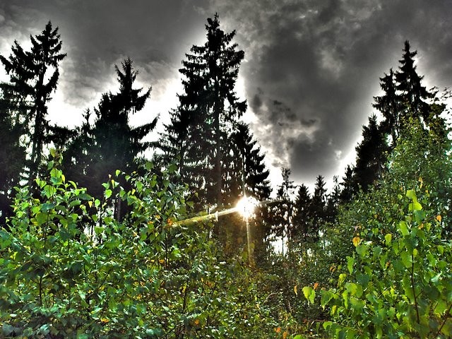 Leny HdR zeszego lata