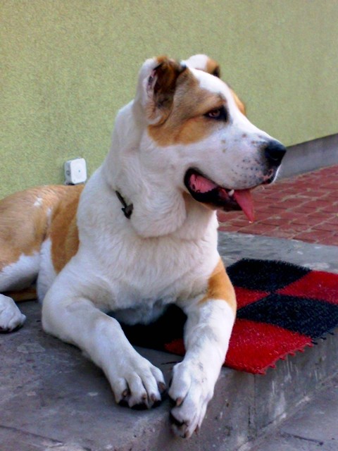 Wpis zaczarowanamarzeniamii