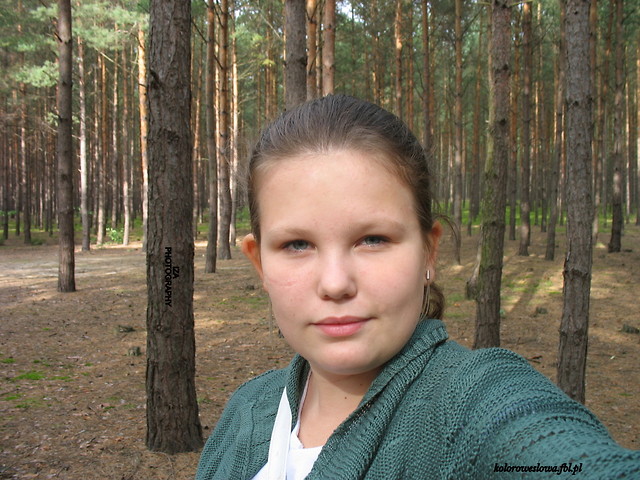 Wpis koloroweslowa