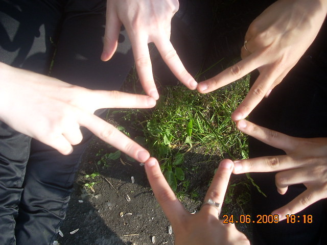 Wpis swiecacagwiazda