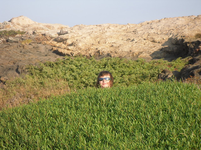 a kuku.