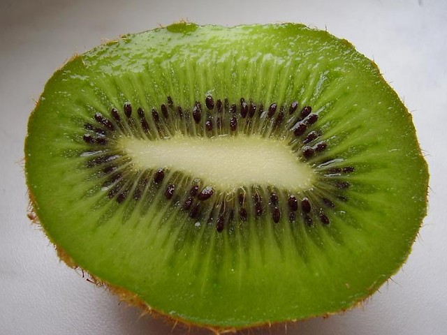 Artysta niesamowity- Kiwi