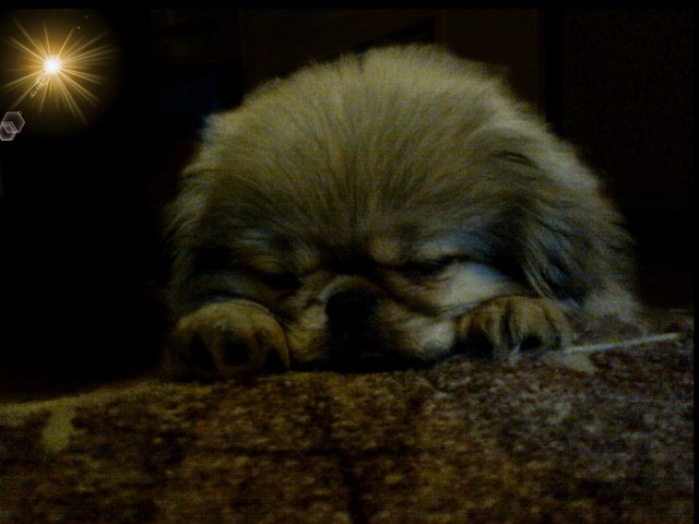 pioch...