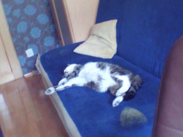 aaaaaaaaa ! ; D