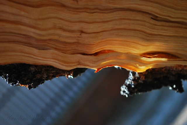 Wooden