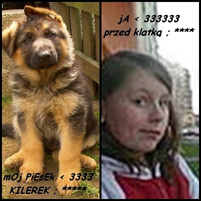 z piesiem....