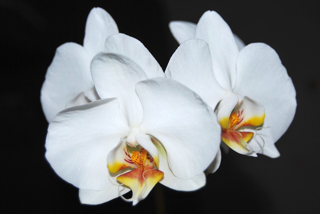 Wpis karolcia0905