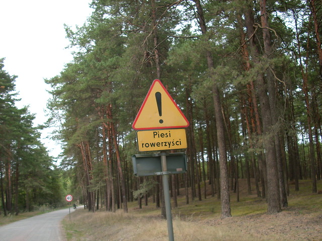 Fjutowskie koa