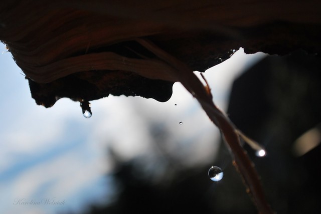 Droplets