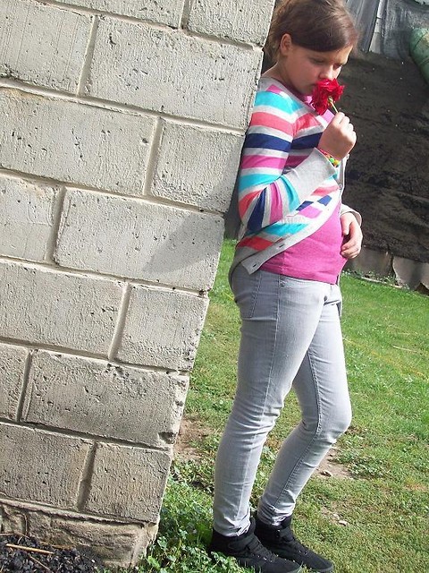 Wpis jelonaa