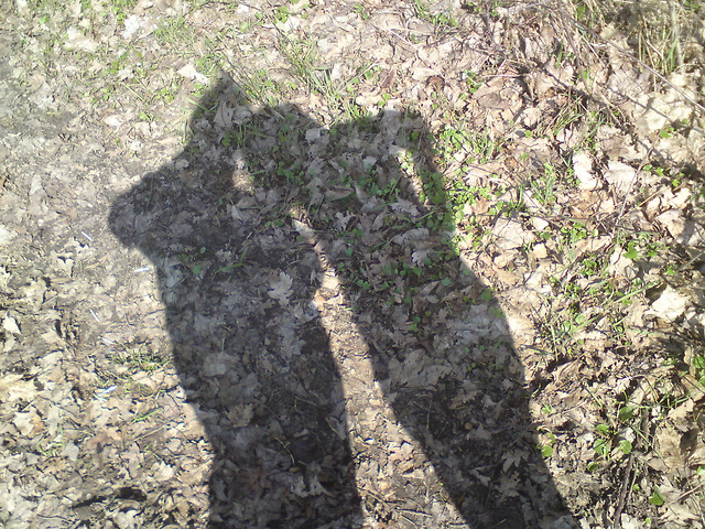 Wpis linciaaxd